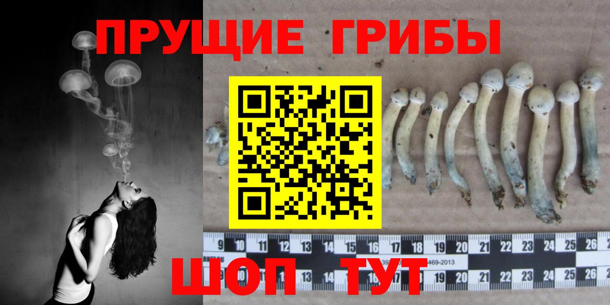 Егорьевск  Псилоцибиновые грибы GOLDEN TEACHER  Вход с VPN 